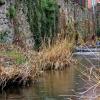 Commission Travaux, Environnement, Urbanisme et Cadre de Vie