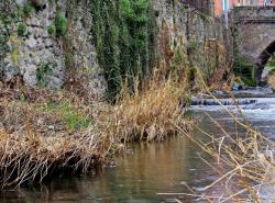 Commission Travaux, Environnement, Urbanisme et Cadre de Vie