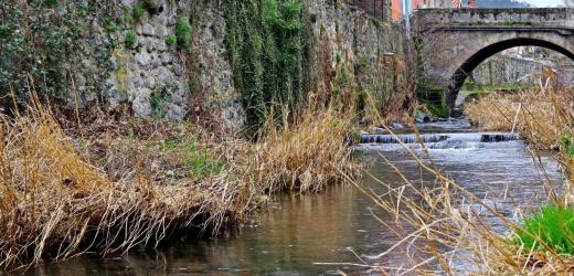 Commission Travaux, Environnement, Urbanisme et Cadre de Vie
