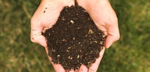 Le compost, comment ça marche ?